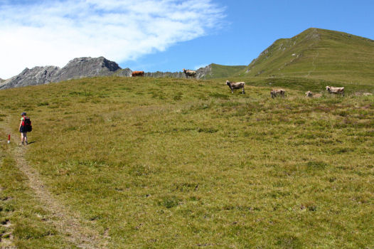 1103 Hoogvlakte voor de Grüblspitze (2395m)