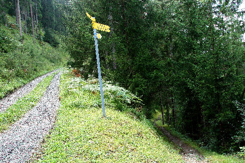 2501-De Forstweg van Imsterberg naar Arzl